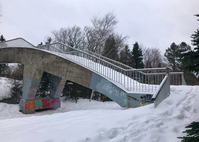 Bowring Park St. John's to spend over $420K to repair Bowing Park pedestrian ... photo