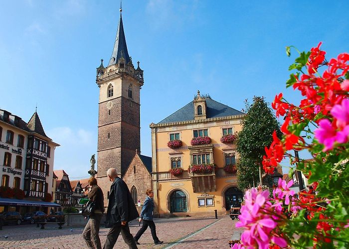 Würth Museum Stay in Alsace | Obernai hotel | Les Jardins d'Aldaric photo