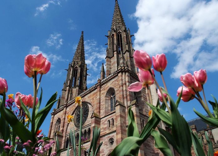 Würth Museum Les Jardins d'Adalric | Charming hotel in Alsace photo