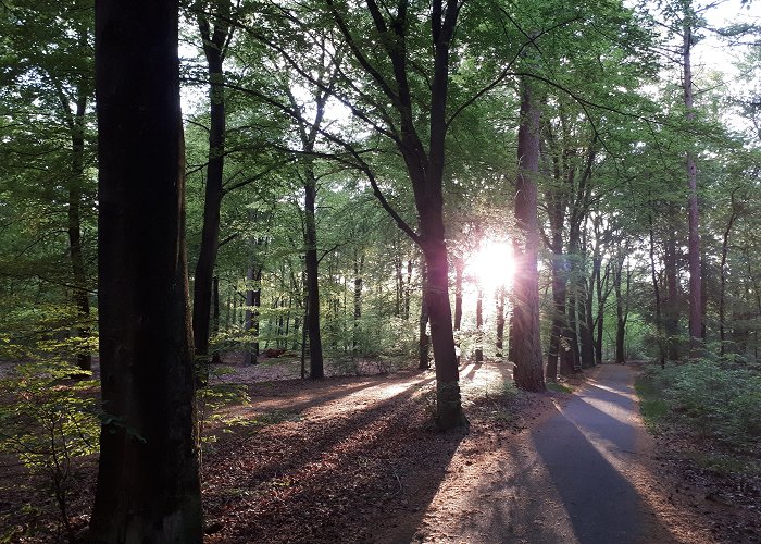 Boswachterij Sleenerzand Natuur en omgeving - Welkom photo