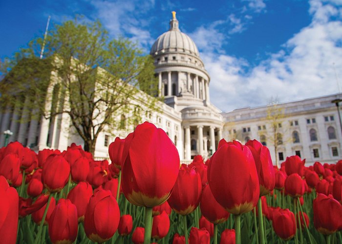 State of Wisconsin: State Capitol Building Wisconsin State Capitol | Destination Madison photo