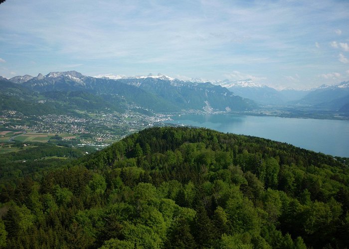 Mont Pèlerin Le Mont-Pèlerin | Switzerland Tourism photo