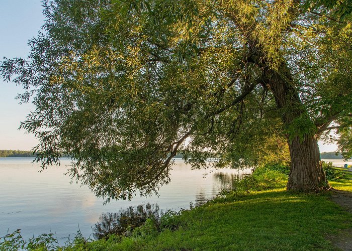 Lake on the Mountain Provincial Park Lake on the Mountain Provincial Park Tours - Book Now | Expedia photo