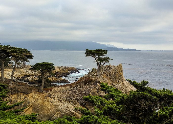 17-Mile Drive A guide to 17 mile drive, Monterey in pictures (with maps) photo