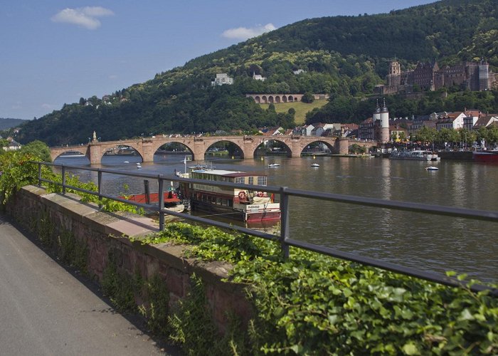 The Rhine Palace Strasbourg to Mainz: Imperial Cities and Charming Landscapes Along ... photo