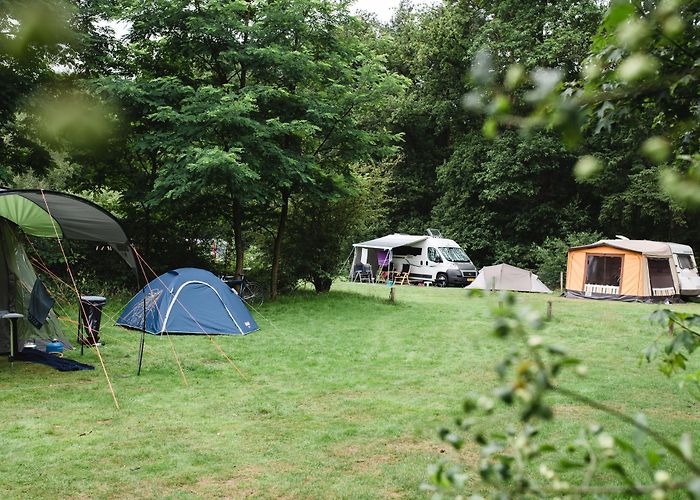 Nieuw Soerel Kampeerterrein Nieuw Soerel, ontdek de bossen van de Veluwe photo