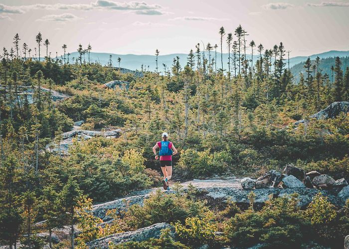 Parc Desrosiers UTHC 125 | Ultra-Trail Harricana du Canada - UTHC photo