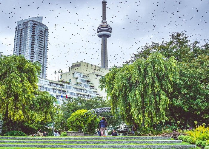 TORONTO MUSIC GARDEN Toronto Music Garden: A Place for Peace & Quiet [Photos] | Village photo