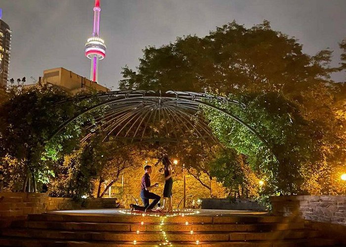 TORONTO MUSIC GARDEN Cute proposal at the Toronto Music Garden caught on camera photo