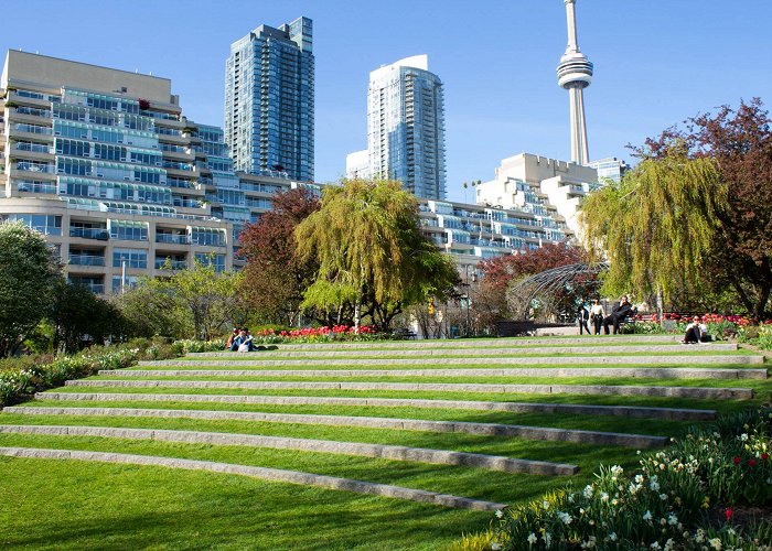 TORONTO MUSIC GARDEN Toronto Music Garden is the serene Bach inspired park by the ... photo