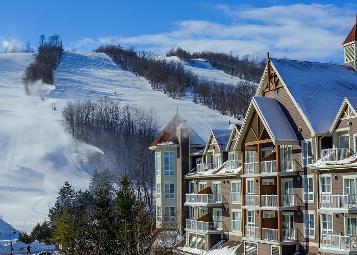 Craigleith Provincial Park Blue Mountain Ski Resort Tours - Book Now | Expedia photo