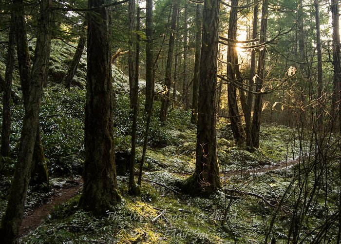 Gowlland Tod Provincial Park Squally Reach Viewpoint – Gowlland Tod Provincial Park | The West ... photo