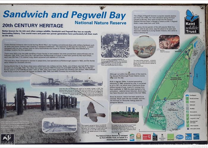 Sandwich and Pegwell Bay National Nature Reserve Walking familiar paths | Not Just a Granny photo