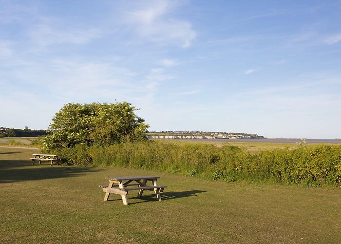 Sandwich and Pegwell Bay National Nature Reserve Sandwich & Pegwell Bay Nature Reserve near Ramsgate - Visit Thanet photo