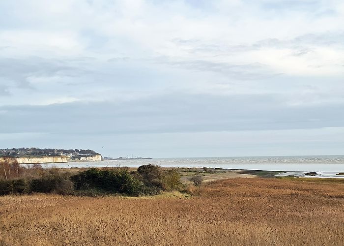 Sandwich and Pegwell Bay National Nature Reserve Trail talk: A coastal walk in the wake of vikings and hovercraft ... photo