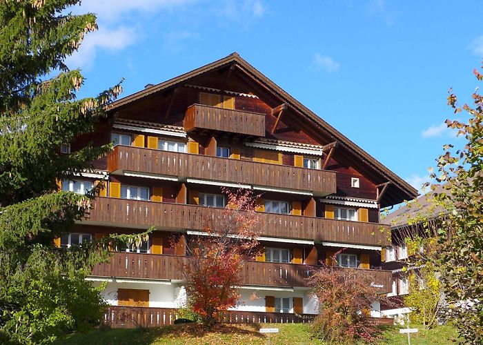 Ski Lift Schonried Horneggli Holiday Home/Apartment - 3 persons - Schönried - 3778 - 303-CH3778 ... photo