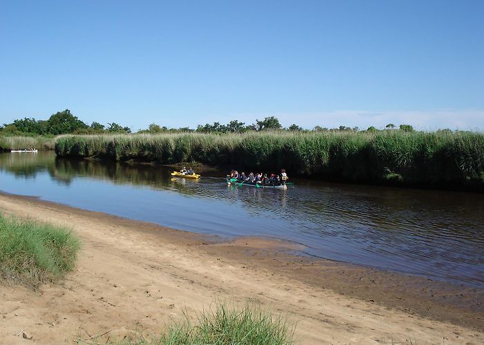 Ornithological Reserve of Teich Arcachon Basin Nature House - Canoe / Kayak / Hawaiian pirogue in ... photo