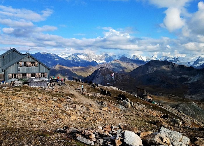 Becs de Bosson Grimentz/Bendolla - Cabane des Becs-de-Bosson n°17 • Hiking route ... photo