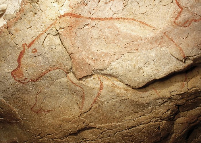 Chauvet Cave The Chauvet-Pont d'Arc cave photo