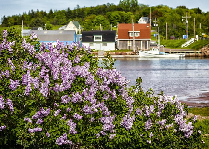 Anne of Green Gables Museum Visit Stanley Bridge: 2024 Travel Guide for Stanley Bridge, Prince ... photo