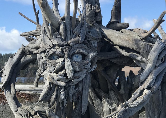 Esquimalt Lagoon Migratory Bird Sanctuary Driftwood sculpture by Paul Lewis at Esquimalt Lagoon : r/VictoriaBC photo