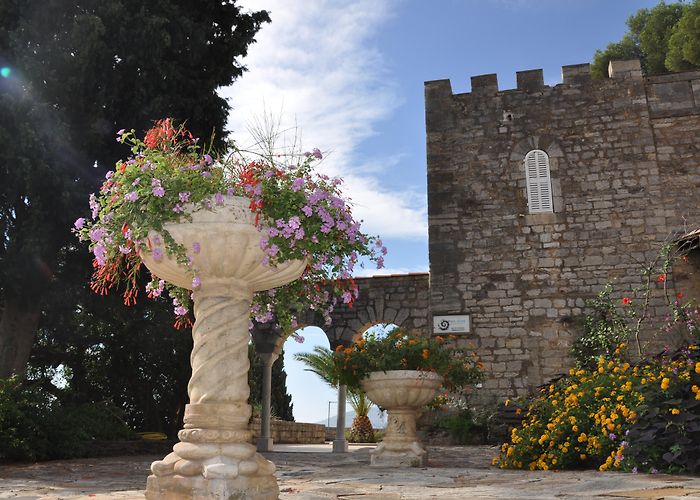 jardin castel sainte claire Castel Sainte Claire (Hyères) | Provence-Alpes-Côte d'Azur Tourism photo