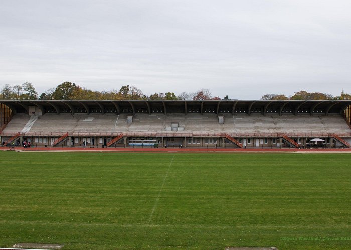 Stade Des 3 Tilleuls Where Lime Trees Grow: Stade des Trois Tilleuls — Terrace Edition photo