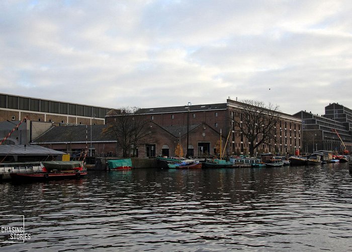 Marine Etablissement Amsterdam The Artis Zoo - Jessica Rahhal photo