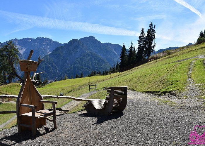 Wildpark Assling Erlebniswelt Assling (Assling, Tyrol, Austria) photo