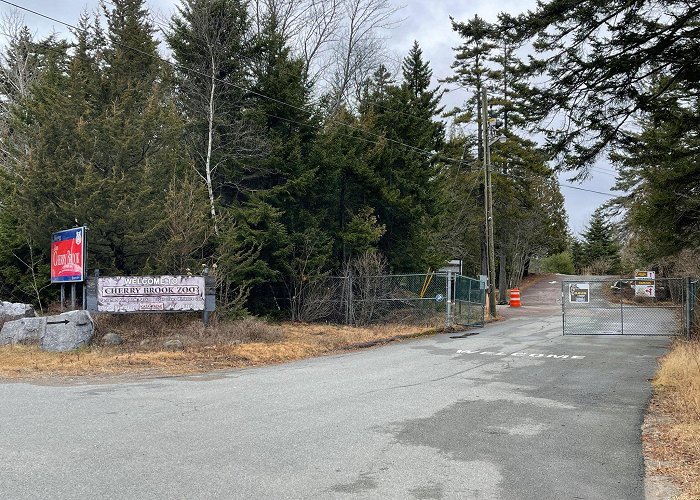 Cherry Brook Zoo Cherry Brook Zoo in Saint John readies last dozen animals for ... photo