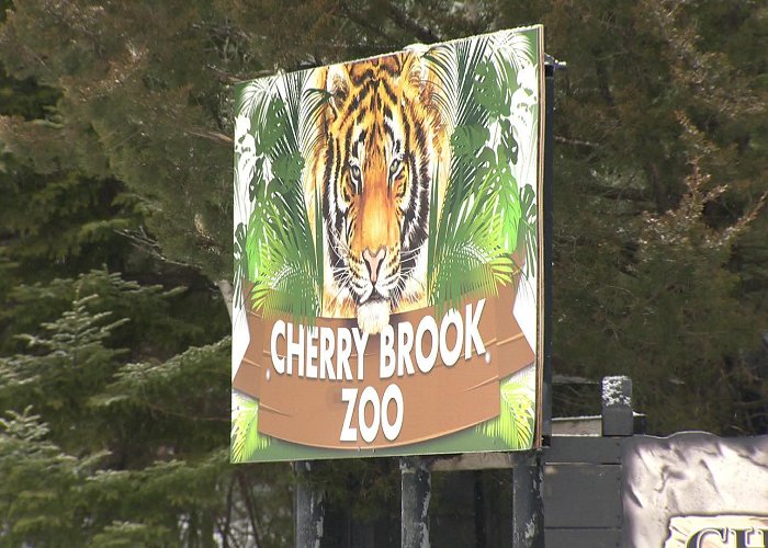 Cherry Brook Zoo Former head of Cherry Brook Zoo sues for wrongful dismissal - New ... photo