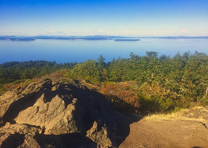 Mount Douglas Park Northern View from Mount Douglas, Victoria, BC [OC] [3221 x 2416 ... photo