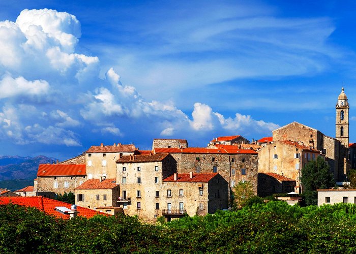 Musée de la Préhistoire Best things to do in Corsica photo