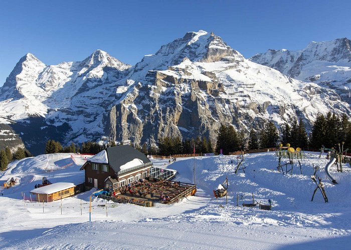 Murren - Allmendhubel Allmendhubel - Mürren Tourism photo