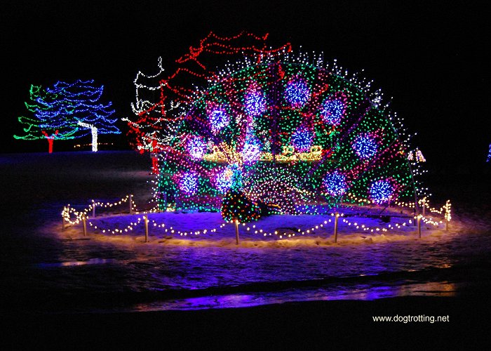 Glenhyrst Art Gallery of Brant Travel Brant, ON: Pawing around at the Brantford Lights at ... photo