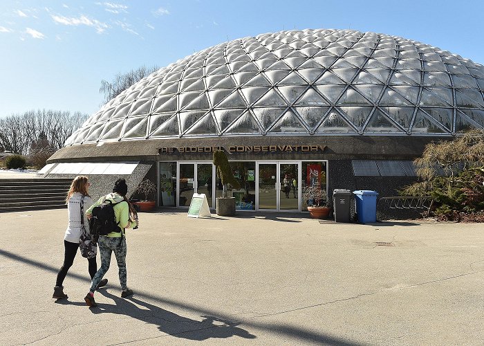 Bloedel Conservatory Vancouver's Bloedel Conservatory celebrating 50 years with ... photo