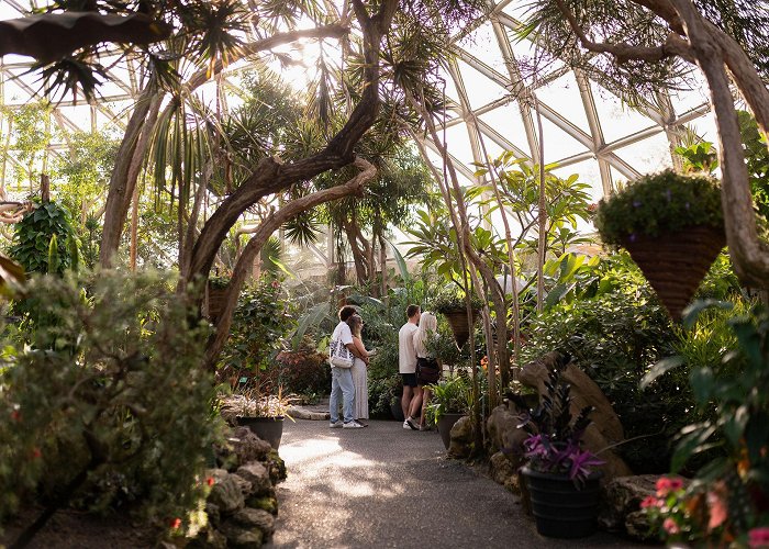 Bloedel Conservatory Bloedel Conservatory, Queen Elizabeth Park photo