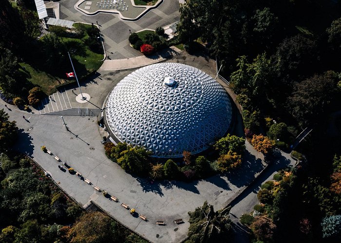 Bloedel Conservatory Bloedel Conservatory, Queen Elizabeth Park photo