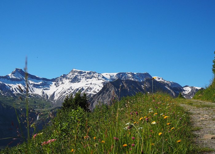 Ski Lift Adelboden - Eselmoos Adelboden - Tschentenalp Gondola Lift in Adelboden - Tours and ... photo