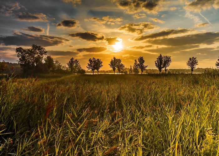 Helmondse Golfclub Overbrug Visit Helmond: 2024 Travel Guide for Helmond, North Brabant | Expedia photo