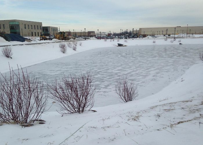 Chancellor Park Rink Wetland Restored as Part of Oak Creek's Main Street Development ... photo