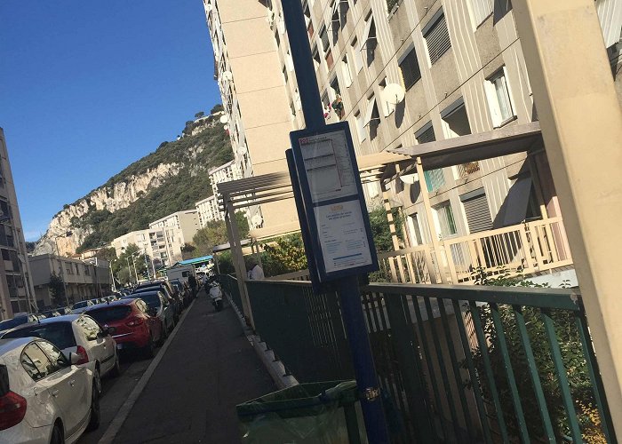 Virgile Barel Tram Stop Escoffier stop - Routes, Schedules, and Fares photo