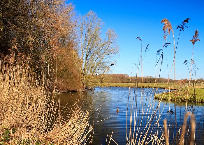 Kurenpolder Golf Biesbosch National Park Tours - Book Now | Expedia photo