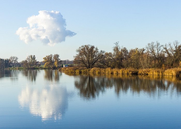 Kurenpolder Golf Biesbosch National Park Tours - Book Now | Expedia photo