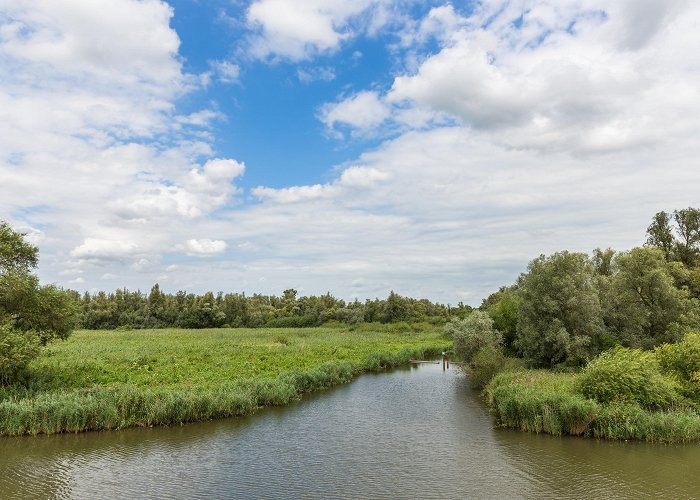 Kurenpolder Golf Biesbosch National Park Tours - Book Now | Expedia photo