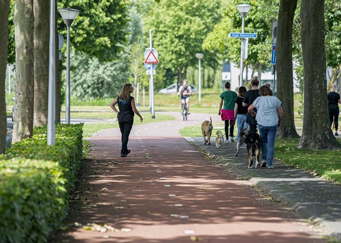 Hoge Neerstraat Eerste Etten-Leurse HondenAvondVierdaagse - Al het nieuws uit ... photo