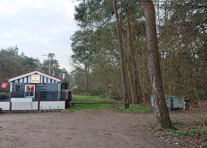 Leuvenhorst The most beautiful MTB Trails in Ermelo | Outdooractive photo