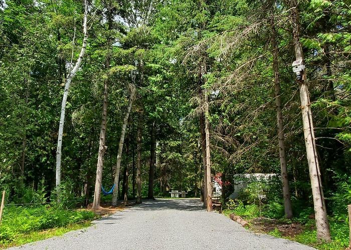 Indian Point Provincial Park A Quick Escape From The City - Hipcamp in Bolsover, Ontario photo