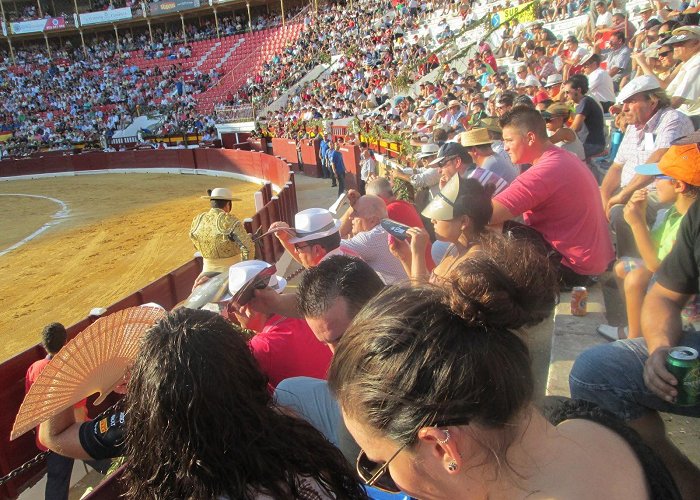 Murcia Bull Arena ISEP Student Stories: Stephanie Goes to the Spanish Bullfight ... photo