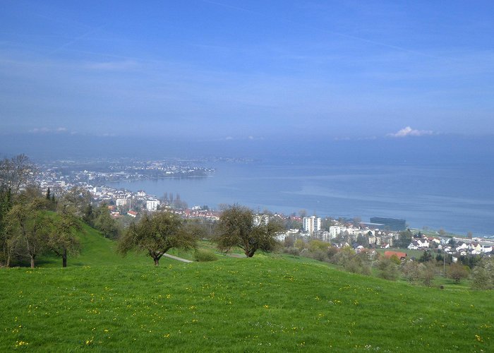 Rorschach Hafen The most beautiful nature trails in Rorschach | Outdooractive photo